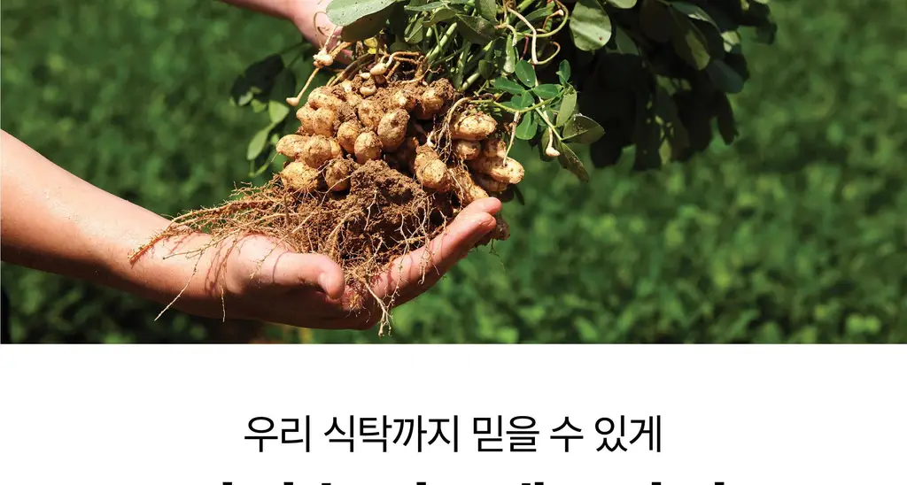 [김도훈PICK] 옳곡 땅콩버터/아몬드버터 골라담기 8종 택 1 상세페이지 35
